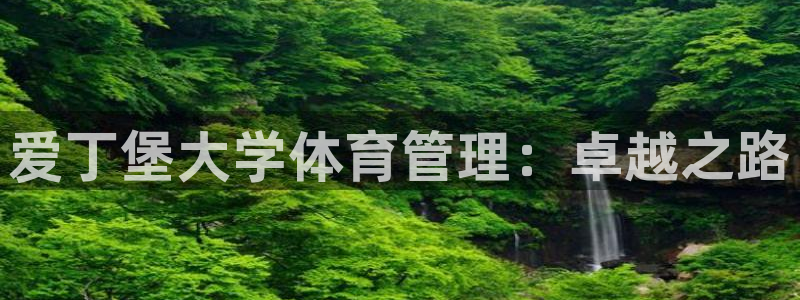 必一运动 b 体育素