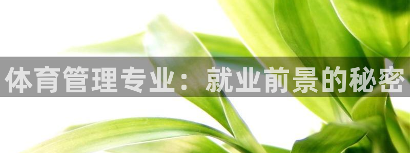 b体育必一下载