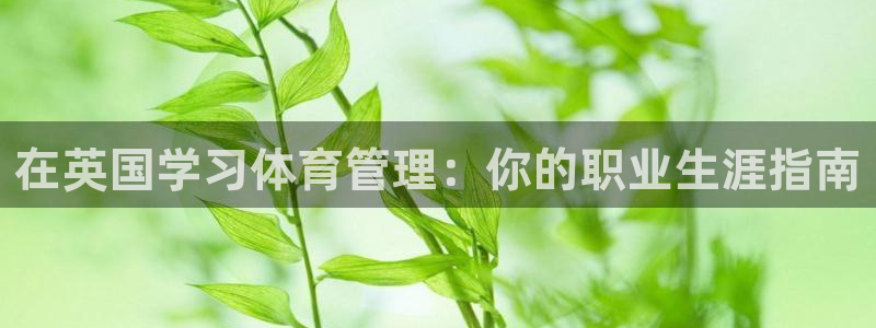 必一体育app官方下载