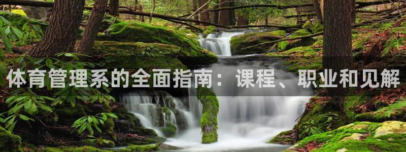 必一体育官网网址