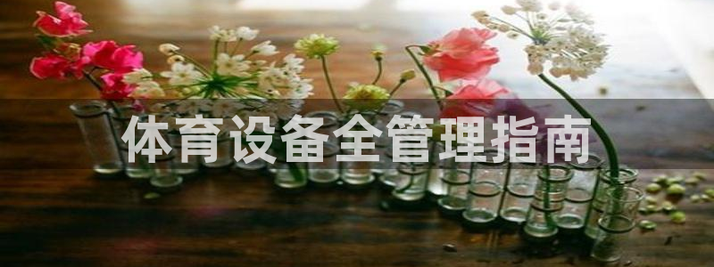 必一体育手机下载