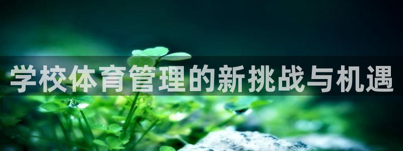 b体育必一下载