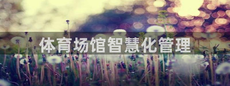 必一体育是哪里的台子