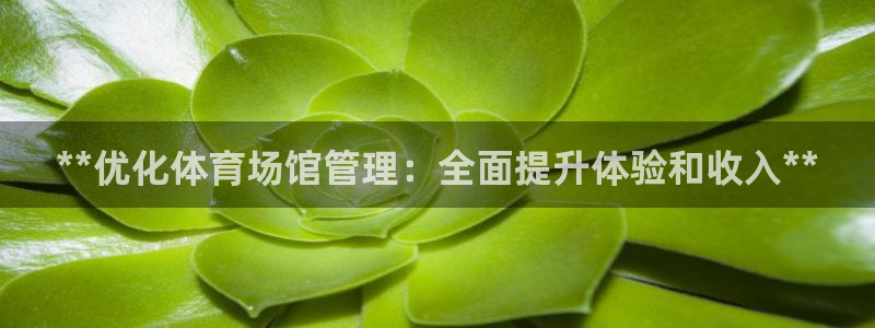 必一体育app下载安