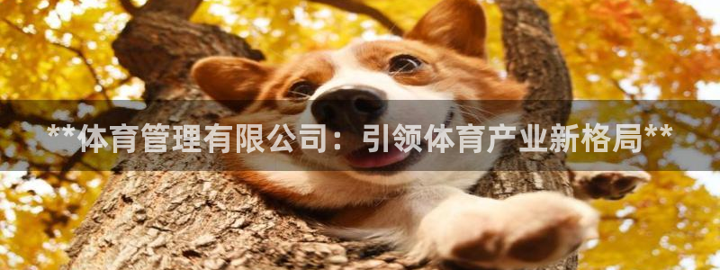 必一体育皮尔斯：**
