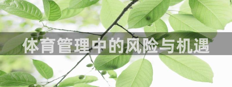 必一体育app官方网
