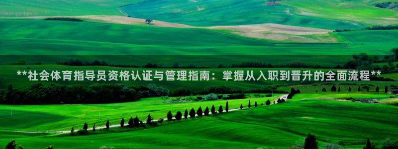 必一体育sport网