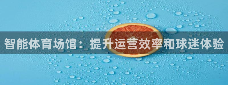 必一体育流水线是什么