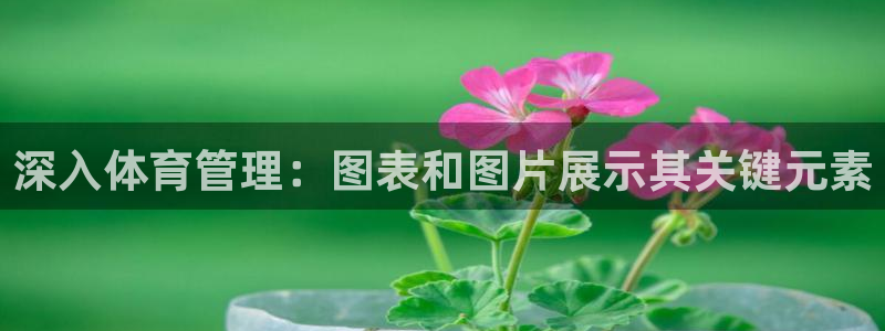 必一体育网页版登录