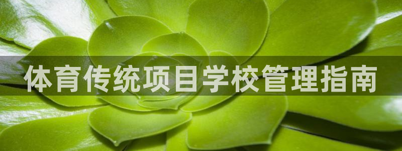 必一体育在哪下：体育