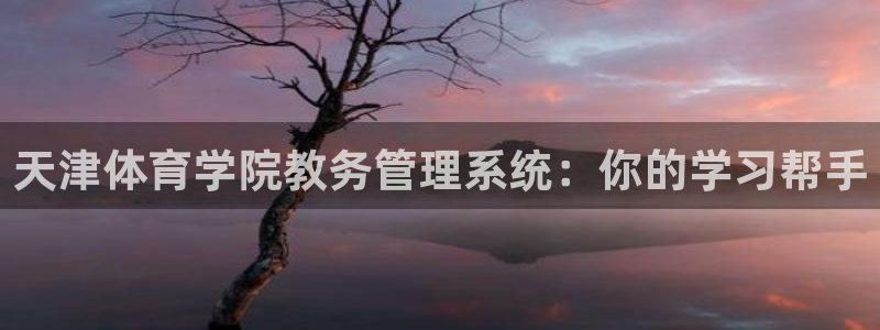 必一体育官方网站入口