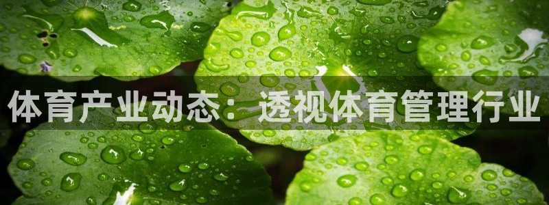 Bsport体育必一