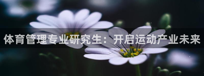 必一体育网页版登录