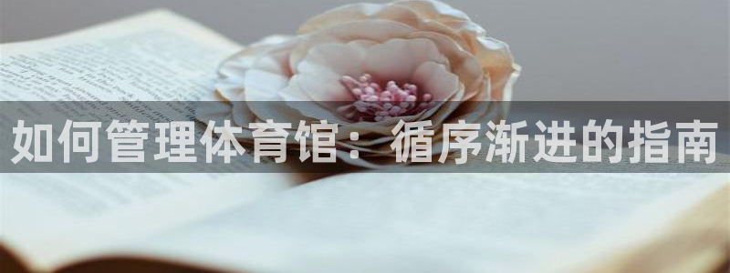 必一体育官方网站入口