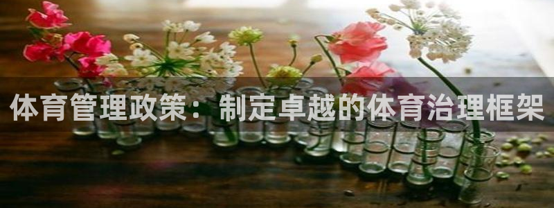 必一体育app官方