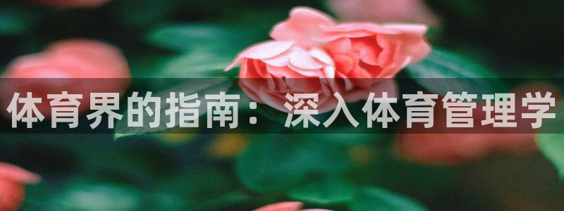 必一运动bsport体育app下载