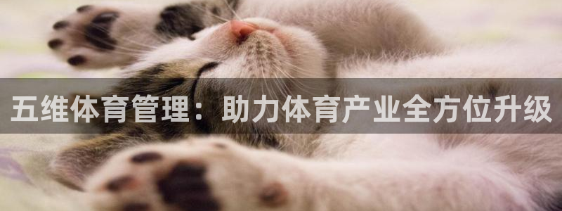 必一运动tieba.