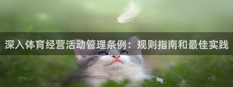 必一运动体育官网