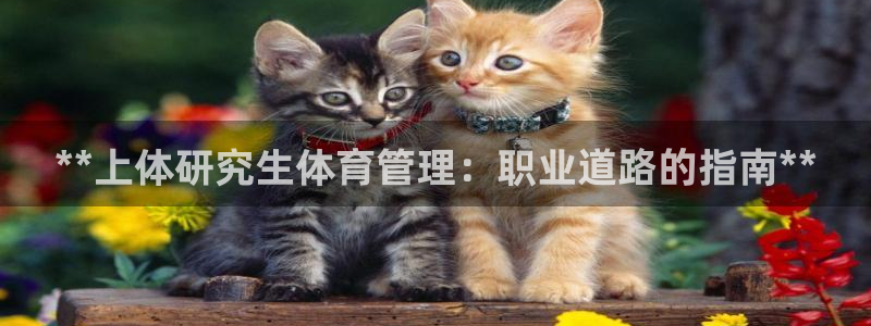 必一体育官方app下