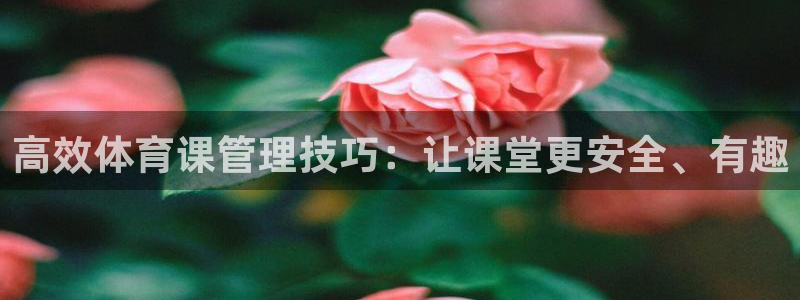 b体育必一运动网页版在线登录入口