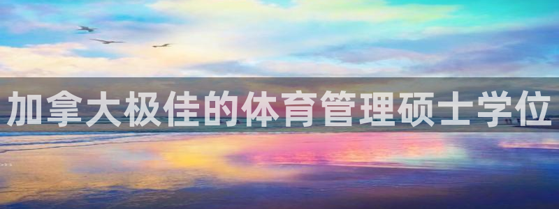 必一体育网站