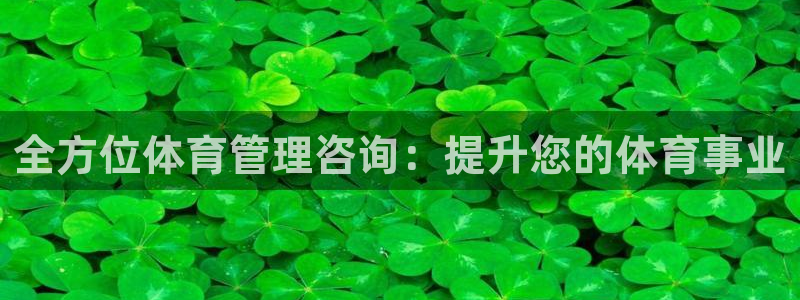 必一运动sport爱查股