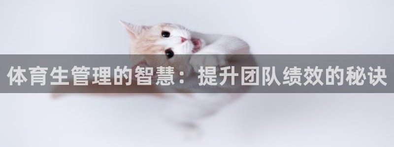 必一体育登录入口：体