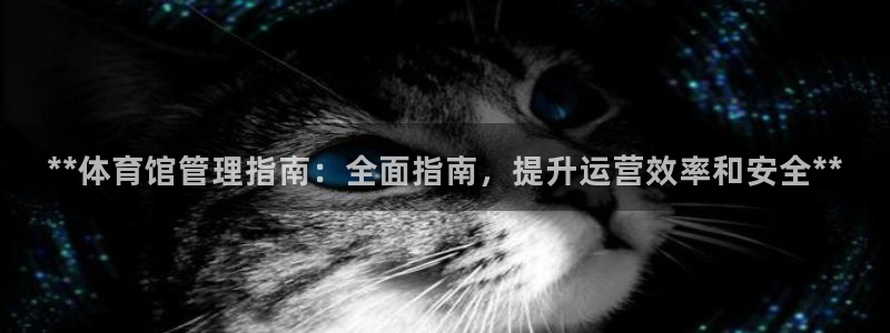 必一体育app官方网