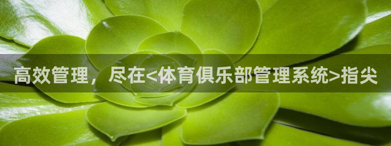 必一运动官网登录入口