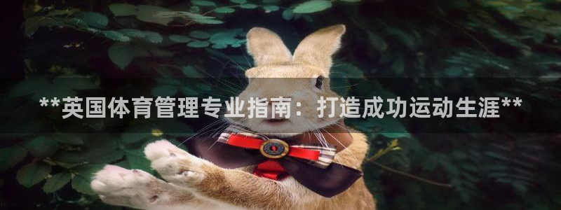 必一体育手机下载：*