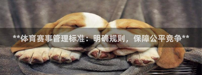 必一体育怎么下载：*