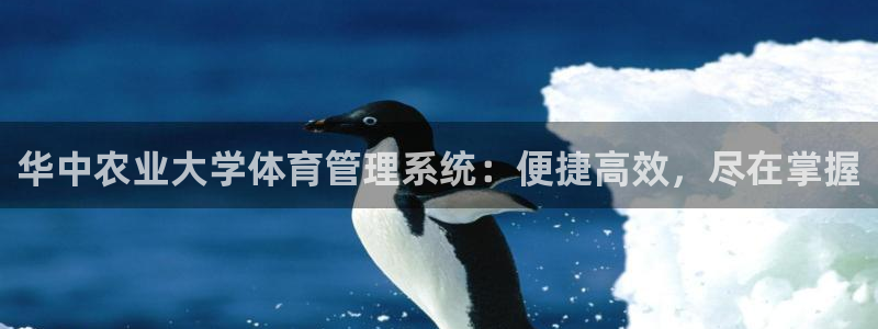 必一运动 b 体育素描版
