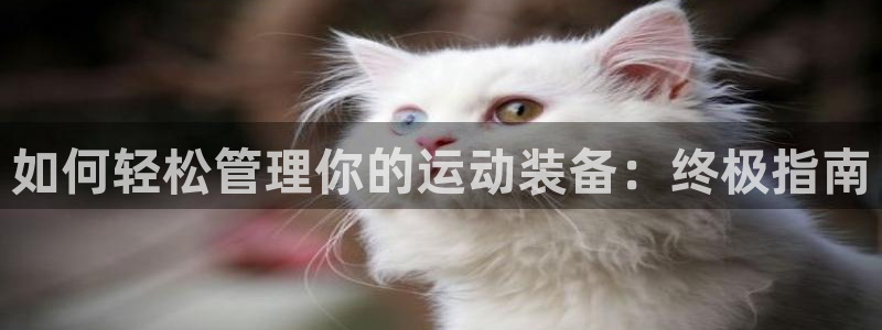 必一体育下载意思：如