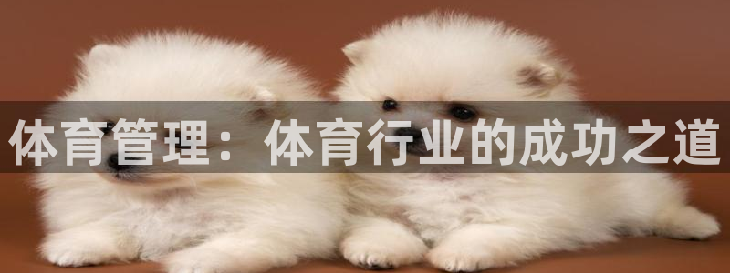 必一体育app下载最新版本