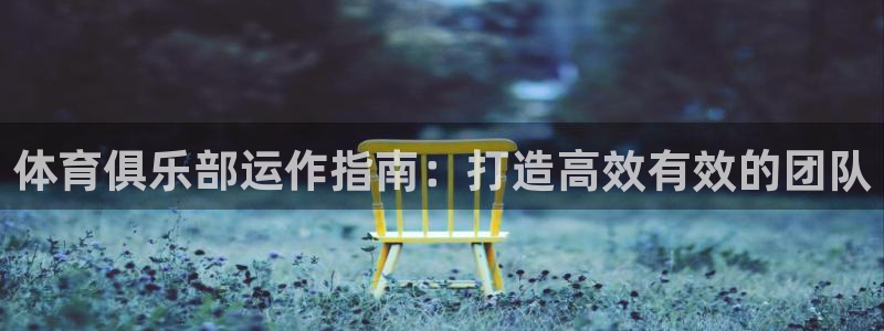 必一运动sport爱