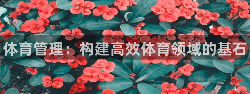 必一运动·体育