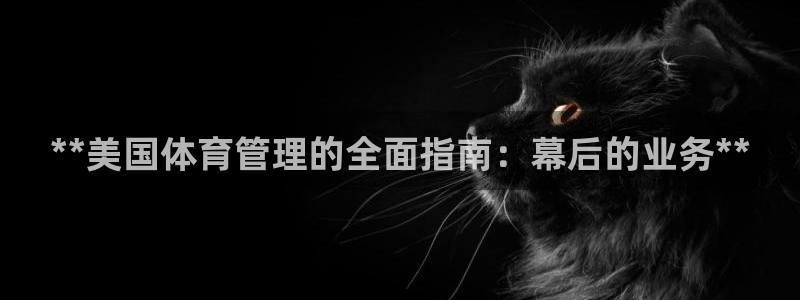 必一体育流水线是什么