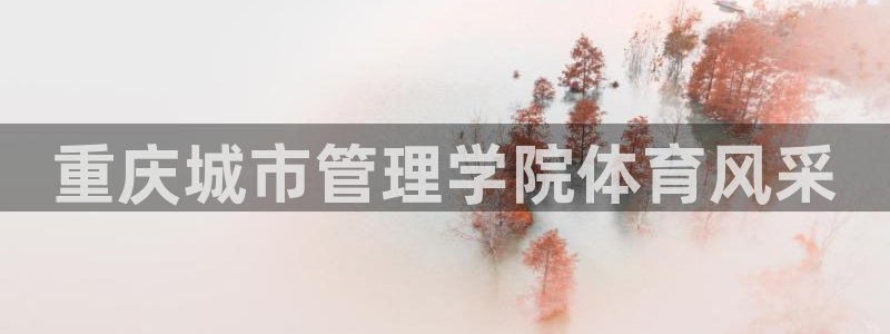 必一体育sport装