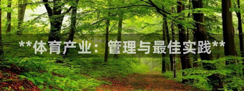 必一体育APP：**