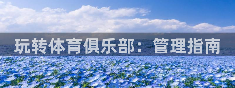 必一体育在线下载：玩