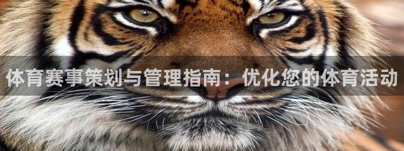必一体育怎么下载：体