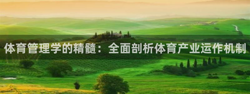 必一体育登录入口：体