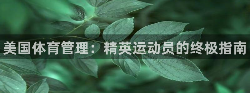 必一运动bsport