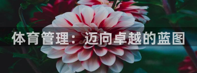 必一体育网址