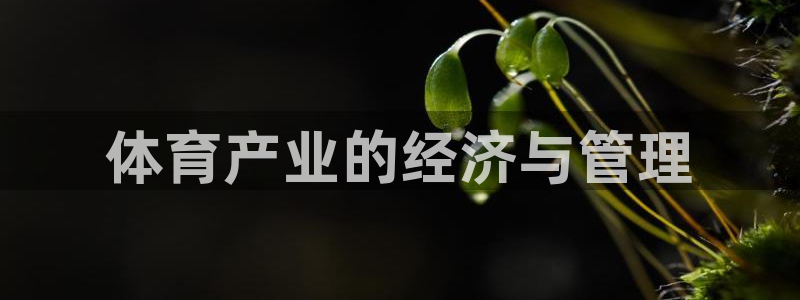 必一体育在哪下