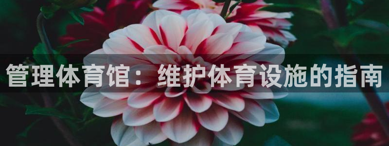 必一体育下载义