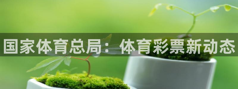 必一运动验证码：国家
