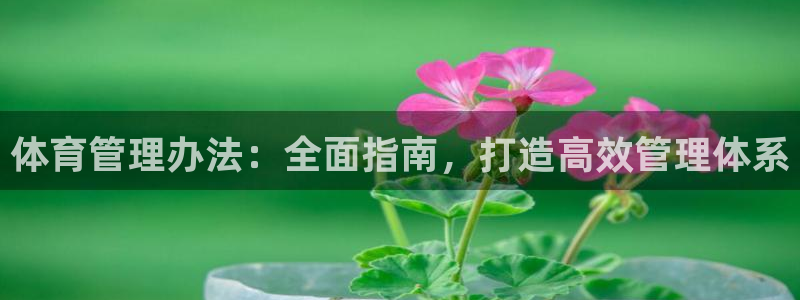 必一体育sport下