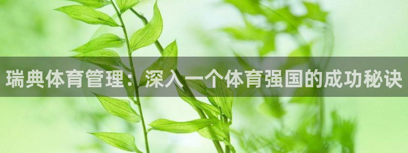 必一体育官方下载入口
