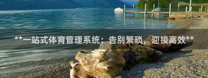 b体育必一运动网页版